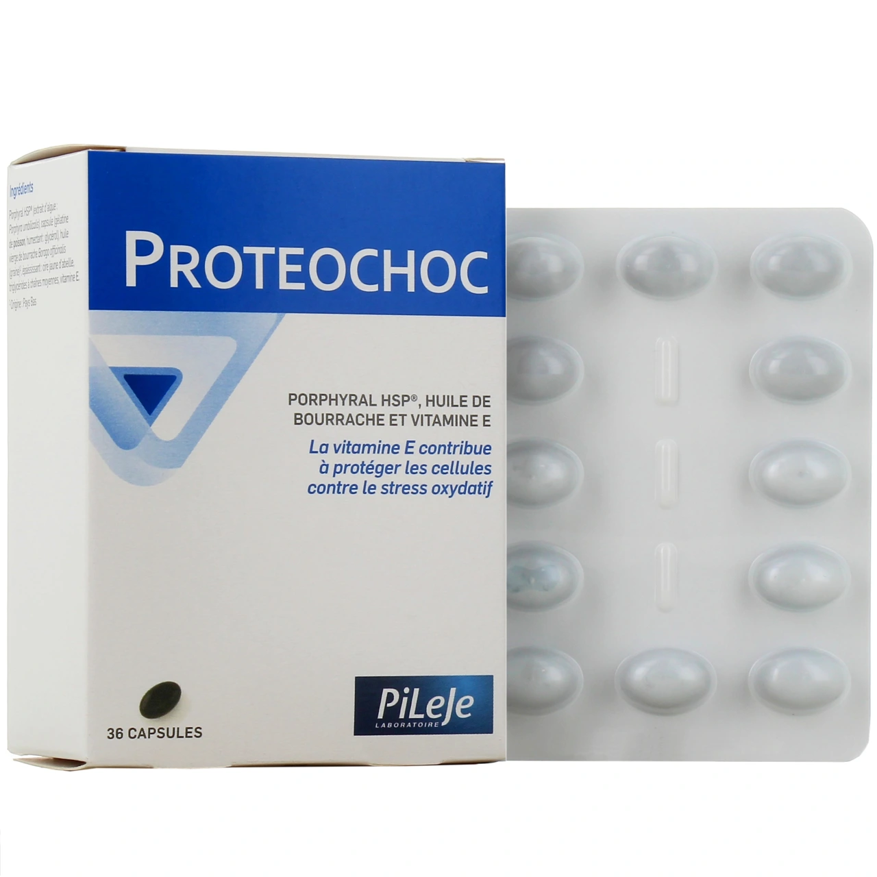 Pileje Proteochoc - Vue 4