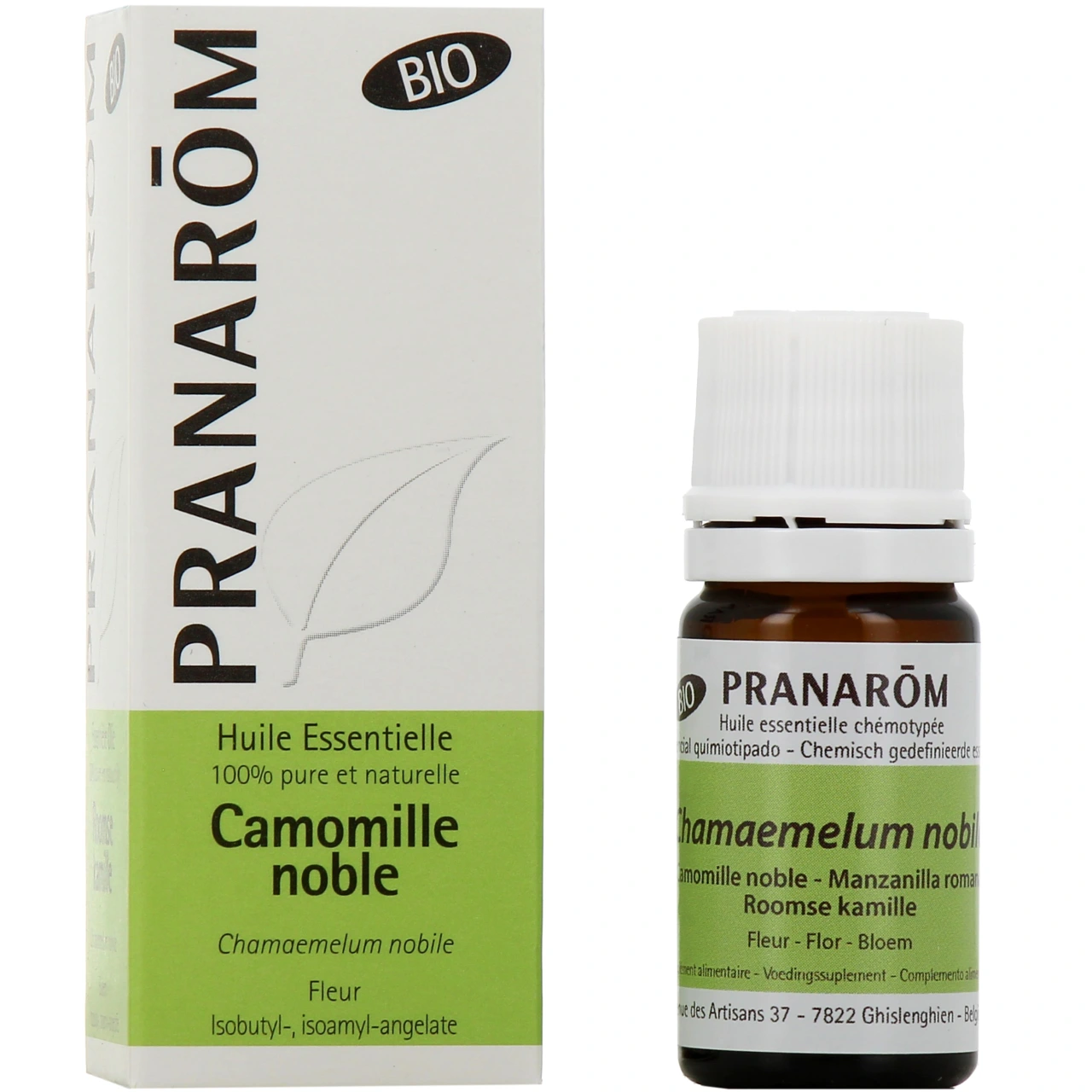 Pranarom huile essentielle camomille noble - Vue 4