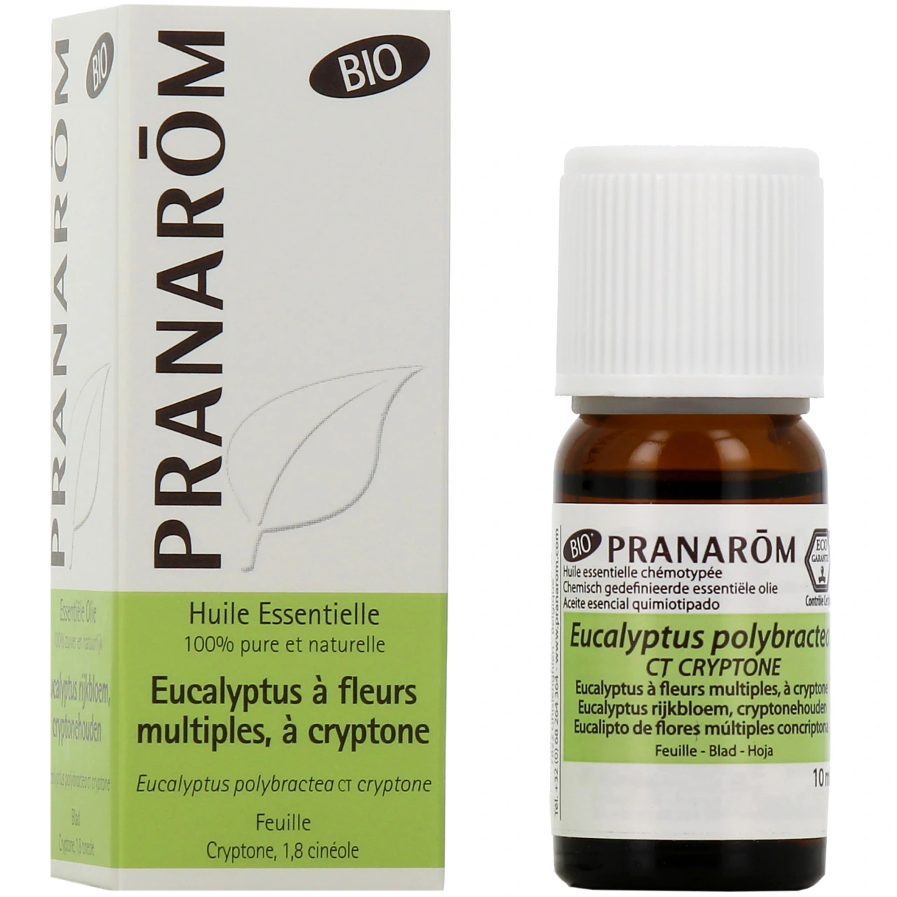 Pranarom Huile Essentielle Eucalyptus à Fleurs Multiples, à Cryptone Bio - Pranarom