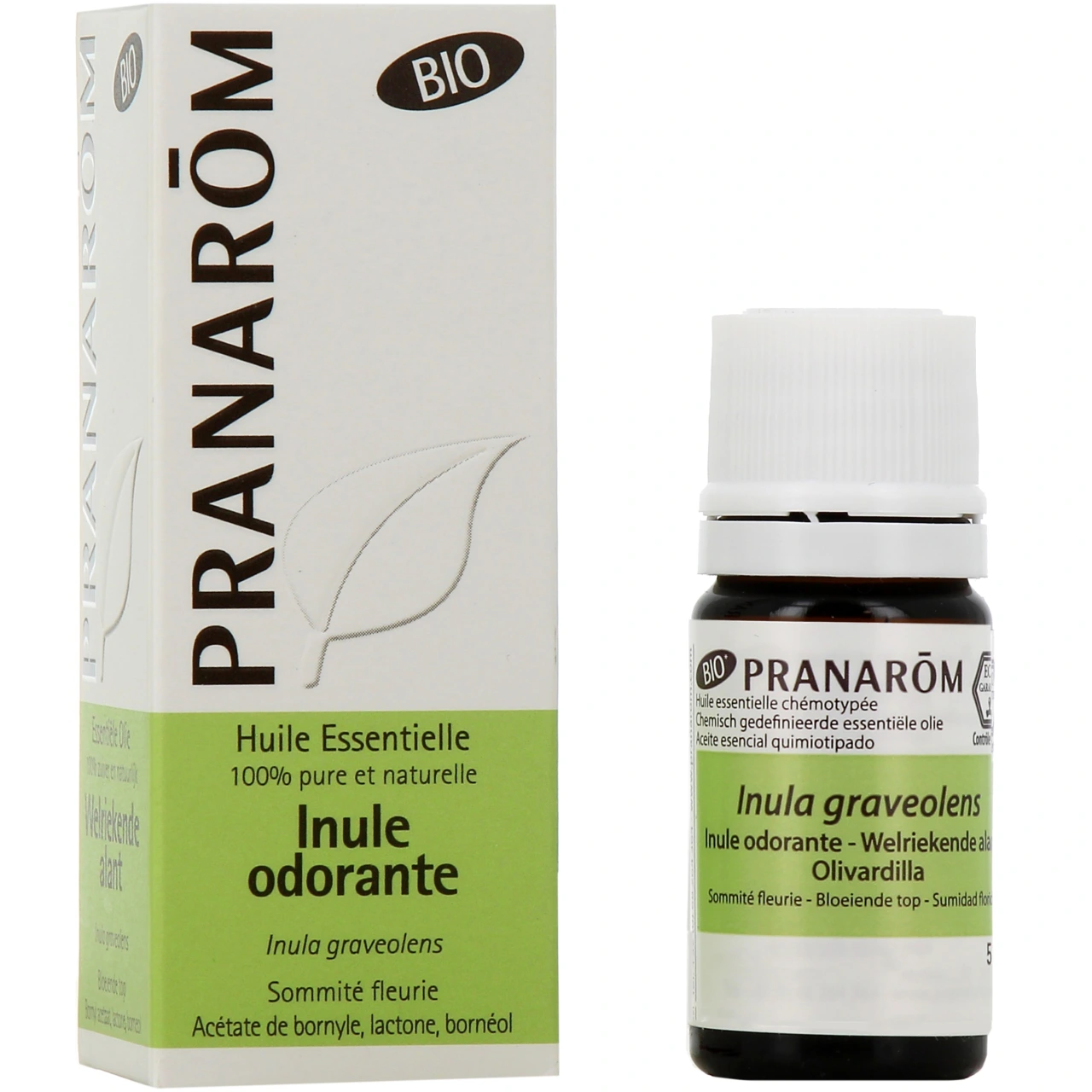 Pranarom Huile Essentielle Inule Odorante Bio - Pranarom