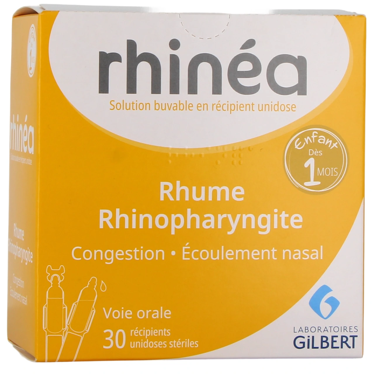 Rhinéa - Gilbert
