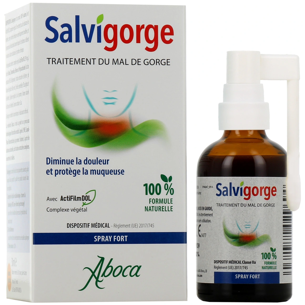 Salvigorge - Vue 2
