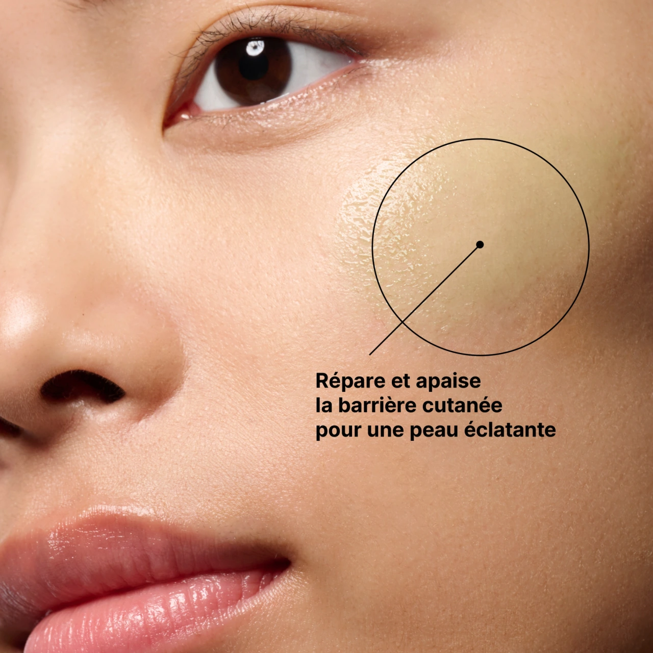SkinCeuticals Phyto Corrective Sérum - Vue 7