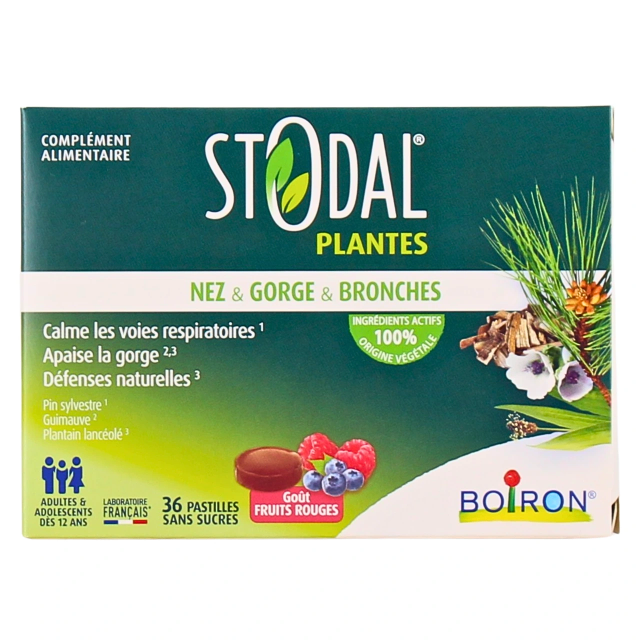 Stodal Plantes Nez Gorge Bronches - Vue 8