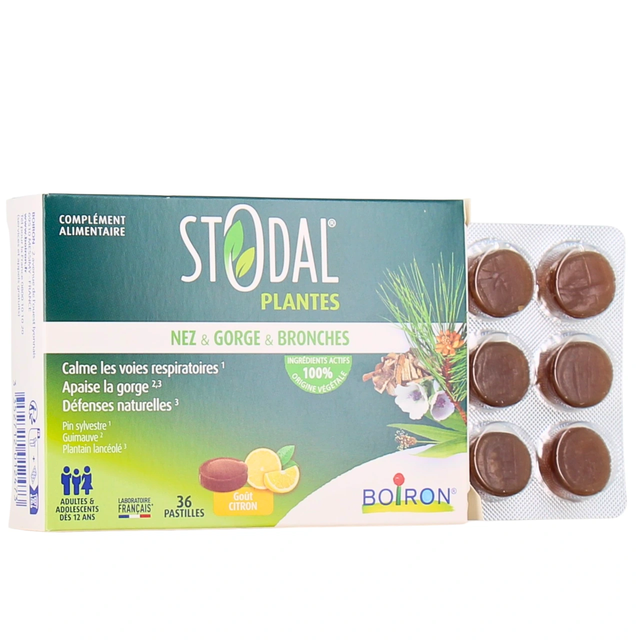 Stodal Plantes Nez Gorge Bronches - Vue 4