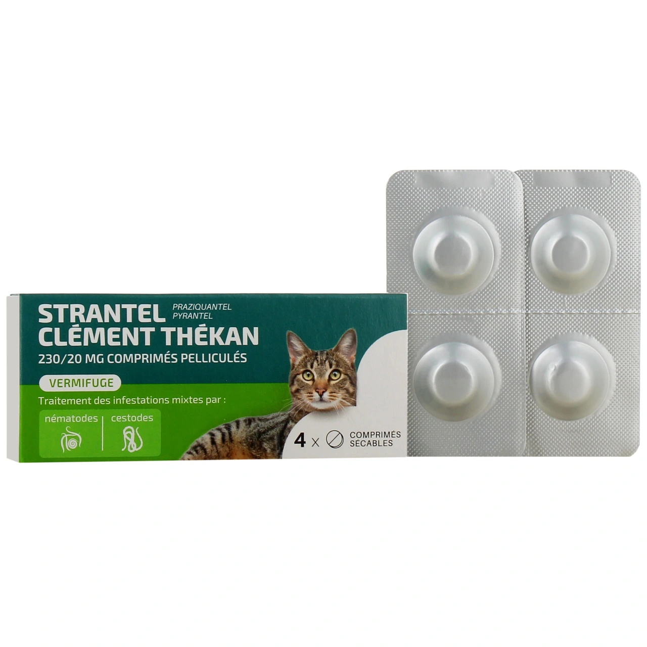 Strantel Vermifuge Chat - Vue 4