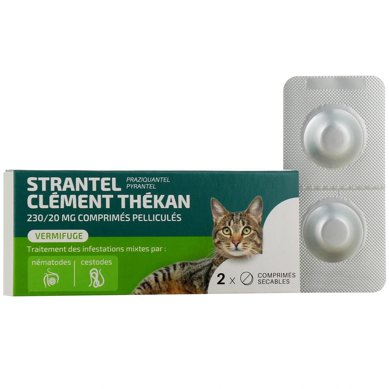 Strantel Vermifuge Chat - Clément Thékan