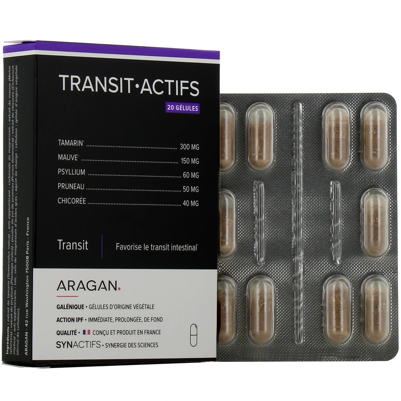 Synactifs Transit Actifs - Synactifs