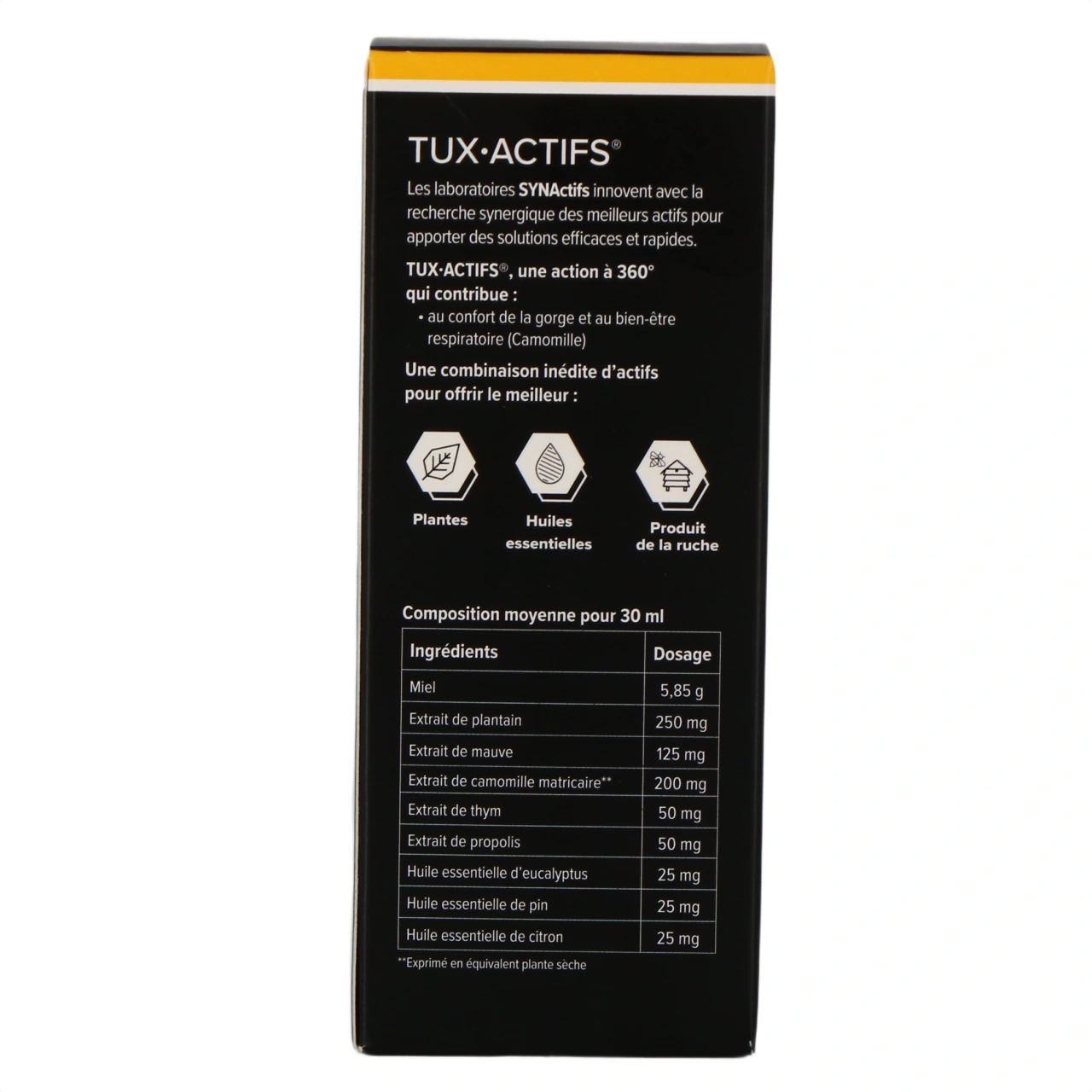 Synactifs Tux Actifs - Vue 3