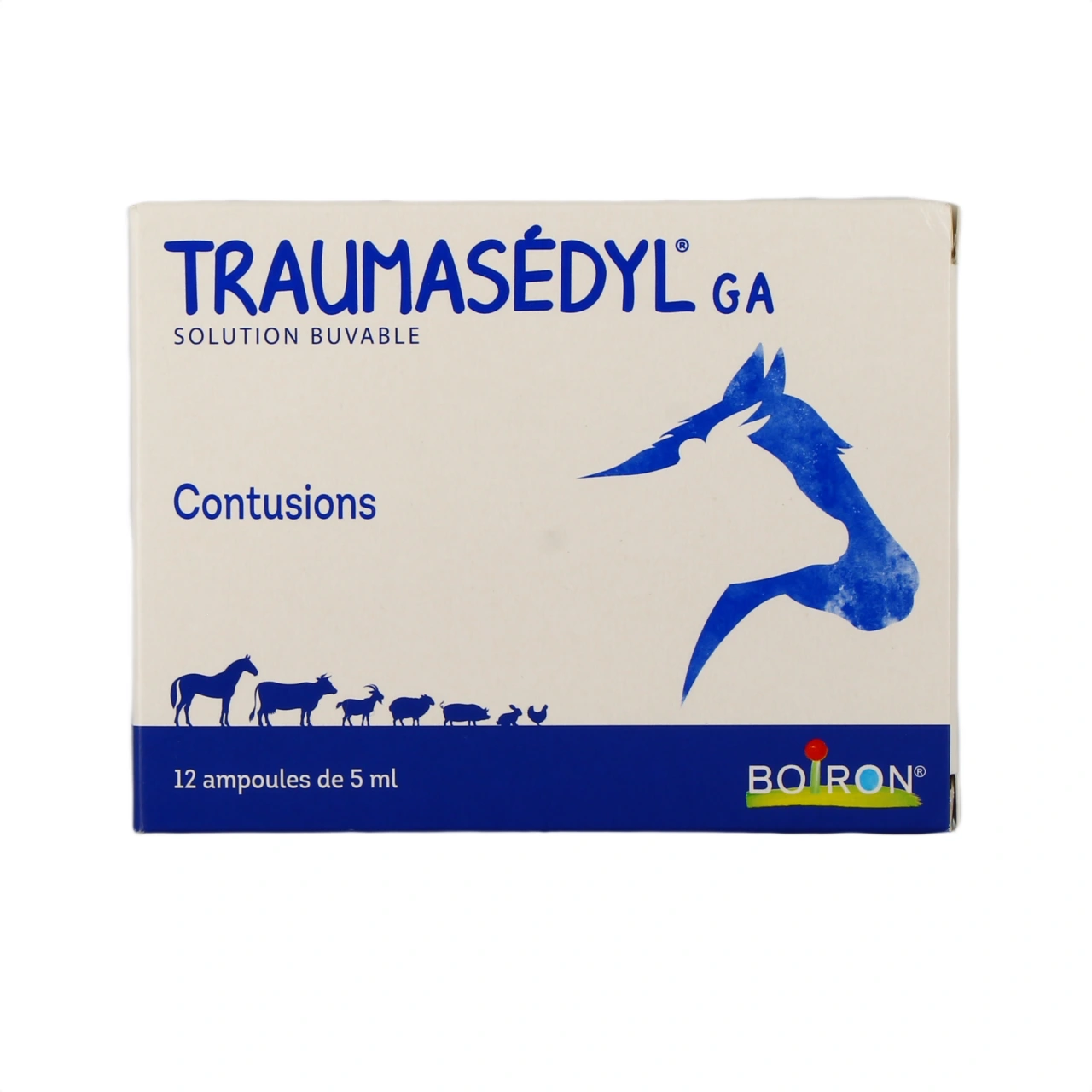 Traumasedyl GA - Vue 2