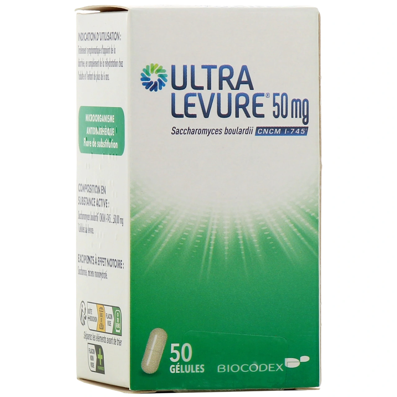 Ultralevure - Vue 10