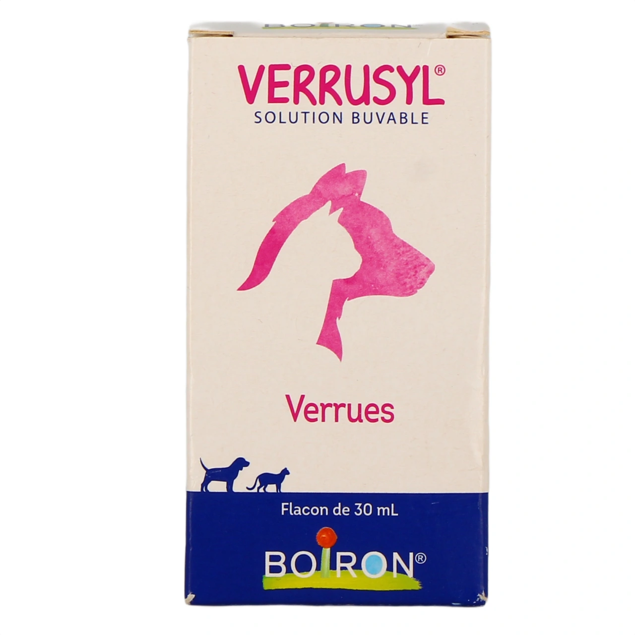 Verrusyl - Vue 2