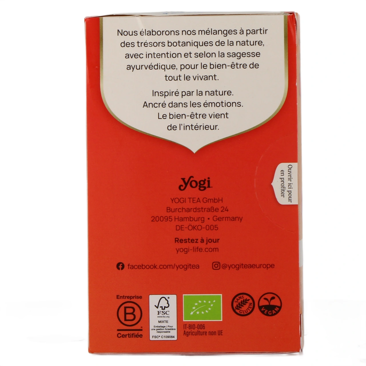 Yogi Tea Infusion à Froid - Vue 6