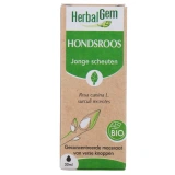 Herbalgem Rosier Sauvage Bio