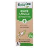 Herbalgem Rosier Sauvage Bio