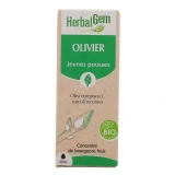 Herbalgem Olivier Bio