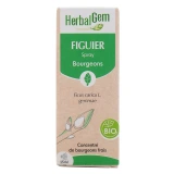Herbalgem Figuier Bio
