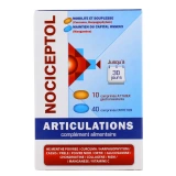 Nociceptol Articulations