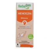Herbalgem Memogem Mémoire Bio