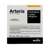 Arteria Cholestérol