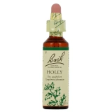 Fleurs de Bach Holly n°15