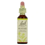 Fleurs de Bach Mustard n°21