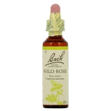 Fleurs de Bach Wild Rose n°37