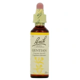 Fleurs de Bach Gentian n°12