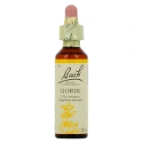 Fleurs de Bach Gorse n°13