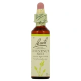 Fleurs de Bach Chestnut Bud n°7