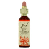 Fleurs de Bach Red Chestnut n°25