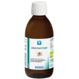 Nutergia Ergyphytum