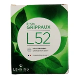 Lehning L52 Etats Grippaux