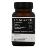 Synactifs Energy Cell Métabolisme Energétique et Cellulaire