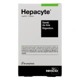 Hepacyte Digestion