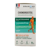 Chondrostéo Articulations