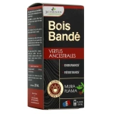 3 Chênes Bois Bandé Endurance et Résistance