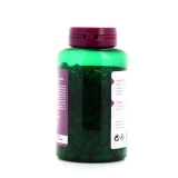 Go Phyto Angélique Confort Digestif