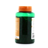 Go Phyto Curcuma Pipérine Bio Articulations