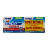 Alvityl Magnésium Vitamine B6