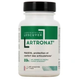 Lescuyer Artronat