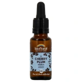 Biofloral Fleurs de Bach