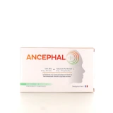 Ancephal