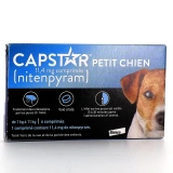 Capstar Chien Traitement Anti-Puces