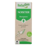 Herbalgem Noisetier Bio