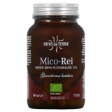 Hifas da Terra Mico-Rei