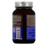 Hifas da Terra Mico-Sol