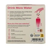 Waterdrop Microdrink Flair Sans sucre