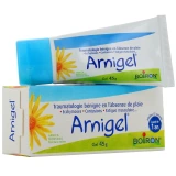 Arnigel