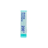 Boiron Arnica Montana 200K dose
